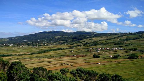 Scenic view of field against cloudy sky