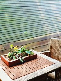 High angle view of potted plants on table