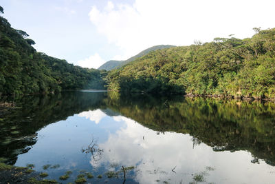 Scenic view of lake by trees against sky