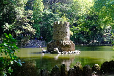 Scenic view of lake in forest