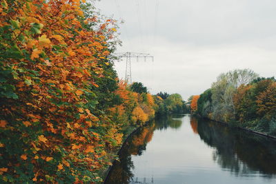 View of canal amidst trees in autumn