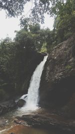 Waterfall in forest