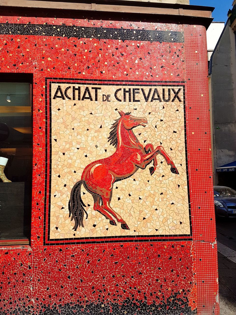 CLOSE-UP OF CAT WITH RED PAINTED