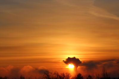 Silhouette trees against orange sky