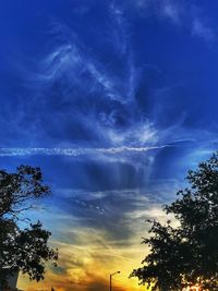 Low angle view of silhouette trees against blue sky