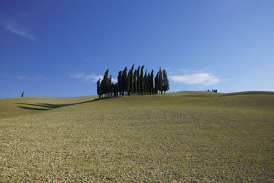 Scenic view of land against sky