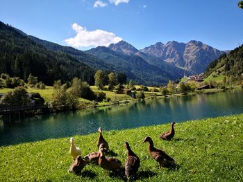 Scenic view of lake and mountains against sky