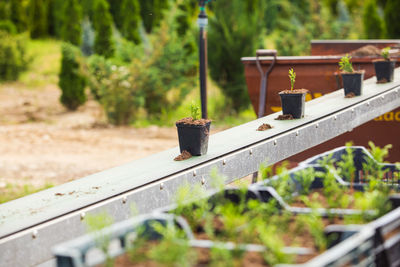 Close-up of rusty metal railing