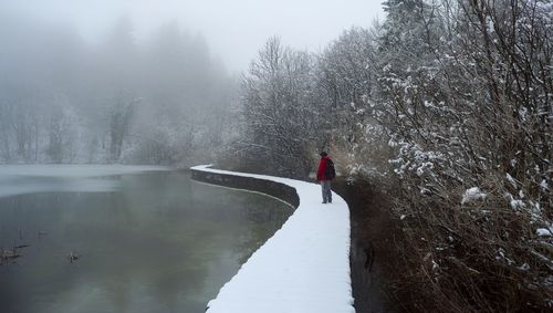 Person on snow covered trees during winter