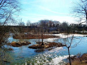 Scenic view of river in forest during winter