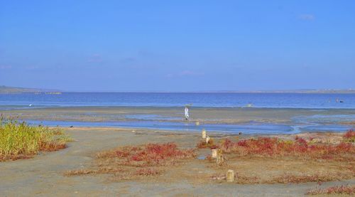 View of calm beach against blue sky