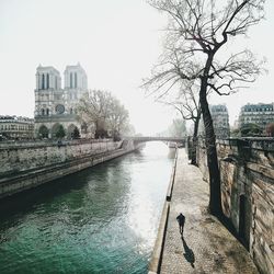 Man walking by river in city against clear sky