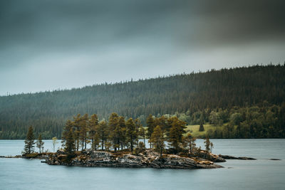 Scenic view of lake amidst trees against cloudy sky