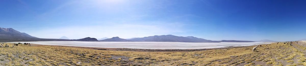 Panoramic view of desert against blue sky