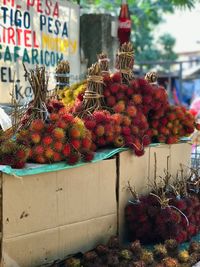 Red berries on plant for sale at market stall