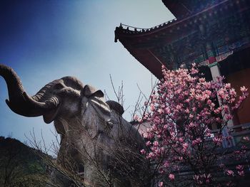 Low angle view of flowers against sky
