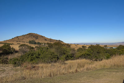 Scenic view of field against clear blue sky