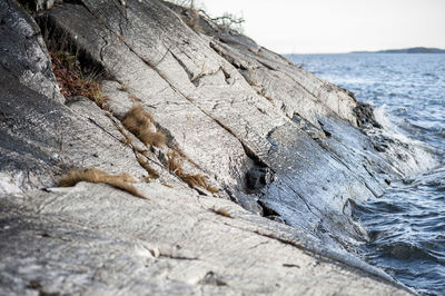 Close-up of driftwood on beach