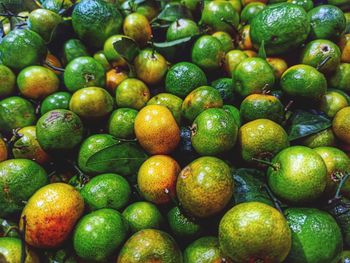 Full frame shot of citrus in market