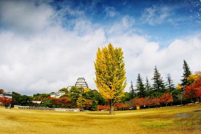 Trees growing on field against sky