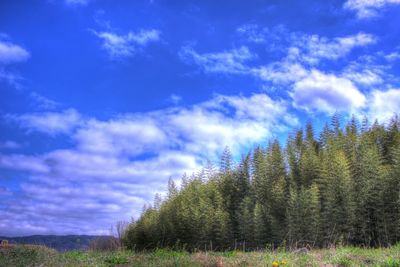 Scenic view of landscape against cloudy sky