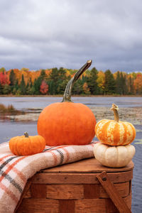 Pumpkins stacked on a picnic basket on a fall day at the lake