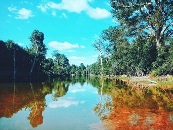 Reflection of trees in lake against sky