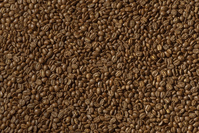 Full frame shot of coffee beans