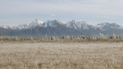 Scenic view of field and mountains against sky