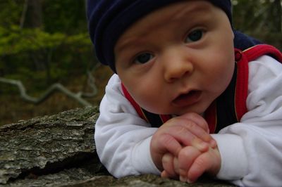 Close-up portrait of baby on rock