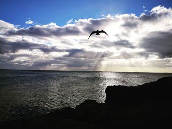 Bird flying over sea against sky