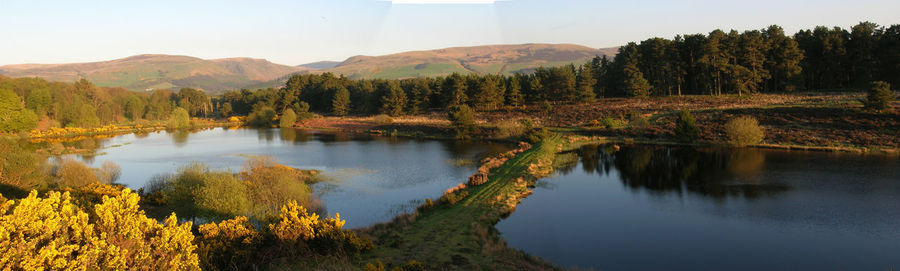 Scenic view of lake by trees against sky