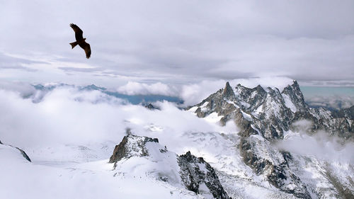 Birds flying over snowcapped mountains against sky