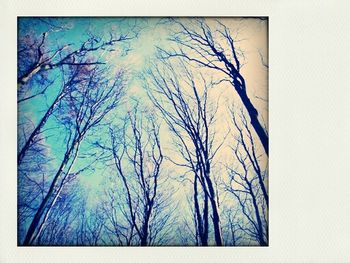 Low angle view of bare trees against blue sky