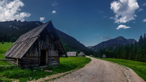 Road amidst green landscape and houses against sky