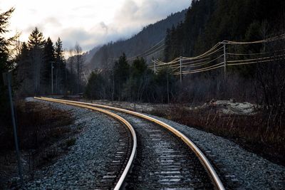 Railroad track passing through forest