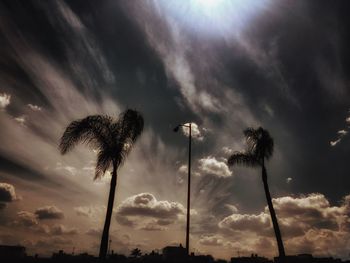 Low angle view of silhouette trees against sky