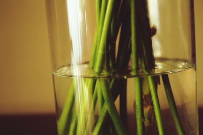 Close-up of drink on table