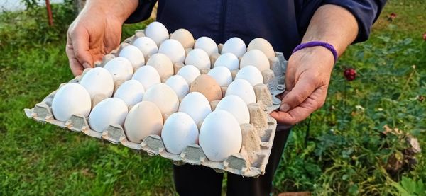 Midsection of man holding egg carton outdoors
