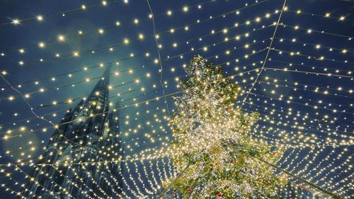 Low angle view of christmas lights and trees at cologne cathedral