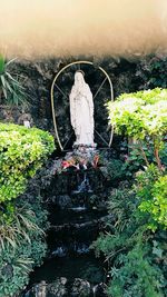 Plants against trees