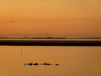 Bird flying in sky at sunset