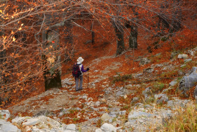 Rear view of man walking on rock