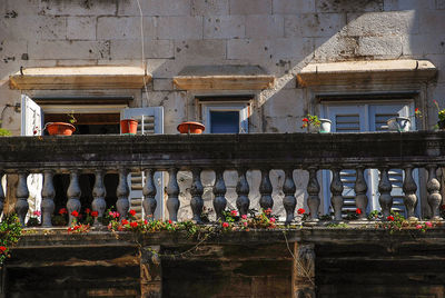 Flowers in front of building