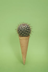 Close-up of ice cream cone