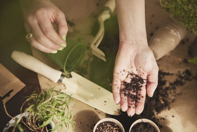 Woman planting herbs