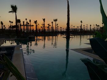 Reflection of palm trees in swimming pool