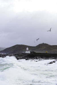 Seagulls flying over sea against sky