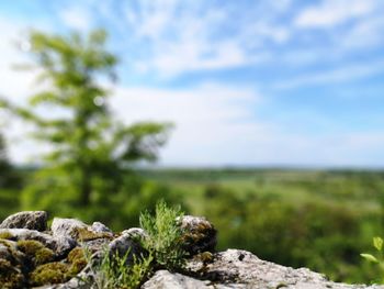 Close-up of rocks on rock against sky