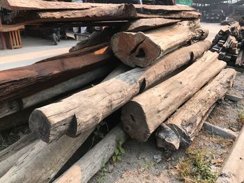 Stack of logs in forest